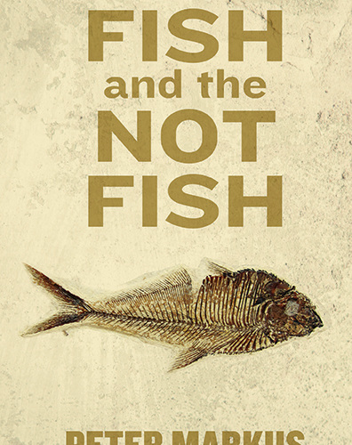 Book cover of The Fish and The Not Fish by Peter Markus