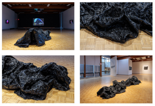 "A Particular Fantasy" by 2025 Kresge Artist Fellow Allana Clarke