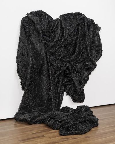 "At a Depth Beyond Anyone" by 2025 Kresge Artist Fellow Allana Clarke