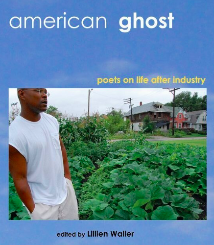 Book cover of American Ghost by Lillien Waller